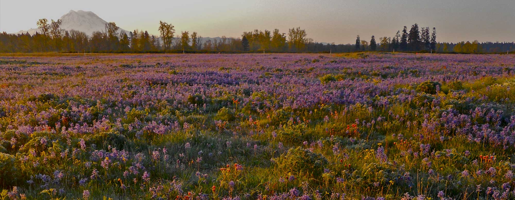 Prairie© Adam Martin